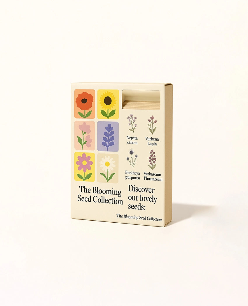 Blooming Wildflower Seed Kit