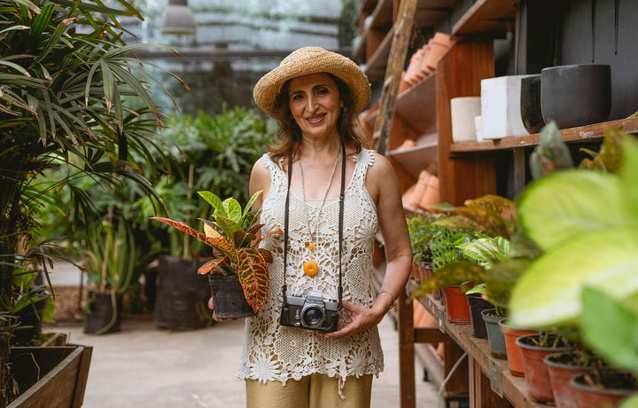 The Expert's Guide To Creating A Indoor Garden