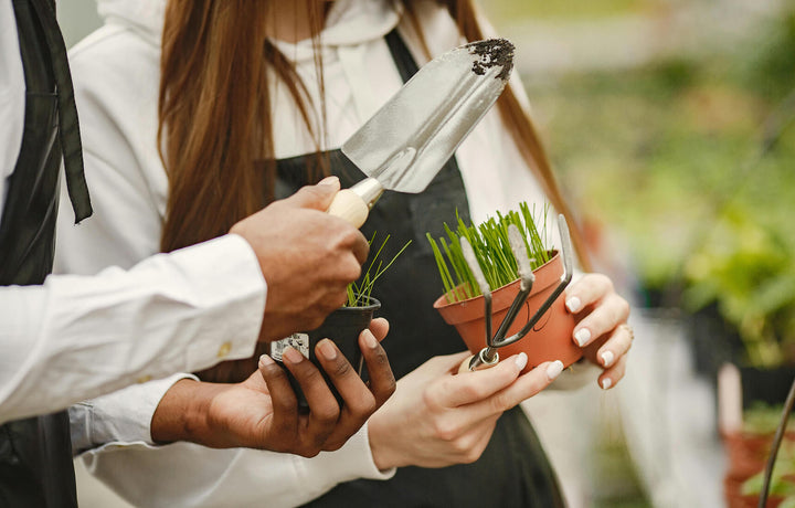 Maximizing Efficiency: Tips For Gardening Teams