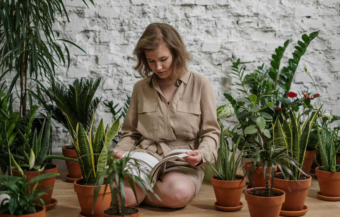 Discover The Most Nurturing Plants For Your Mind