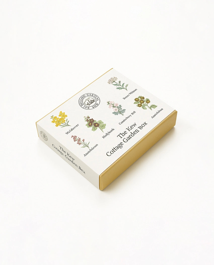 Cottage Garden Flower Seeds