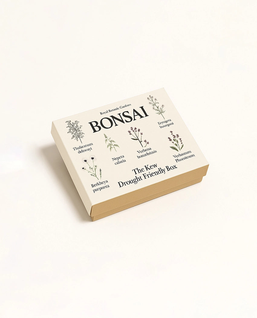 Blooming Wildflower Seed Kit