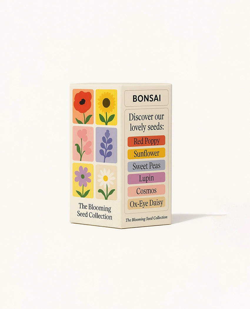 Bright Blooms Flower Seeds