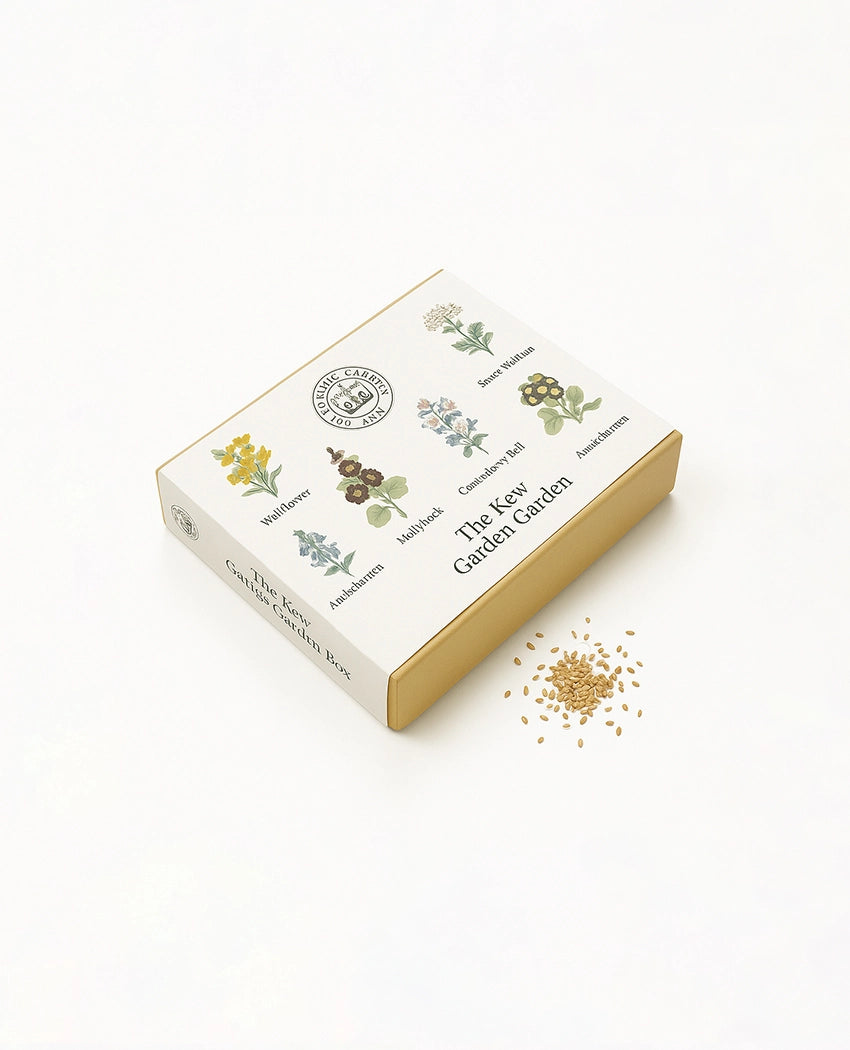 Cottage Garden Flower Seeds