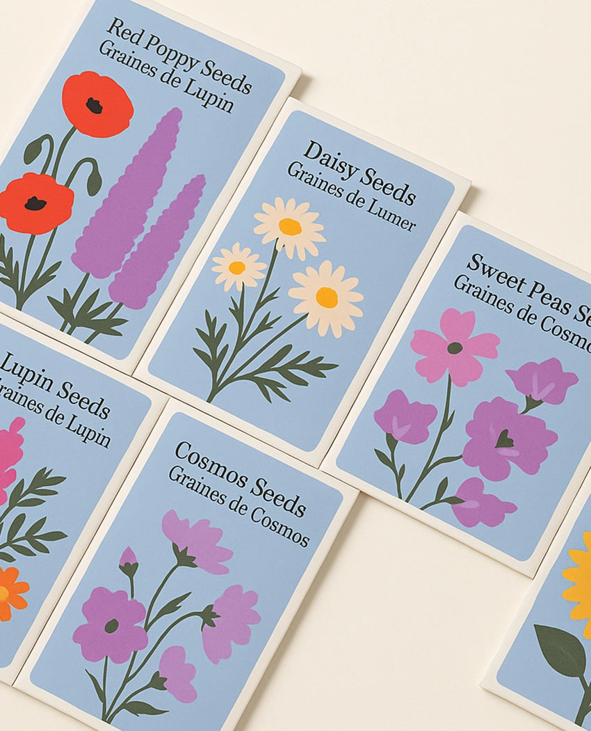 Bright Blooms Flower Seeds