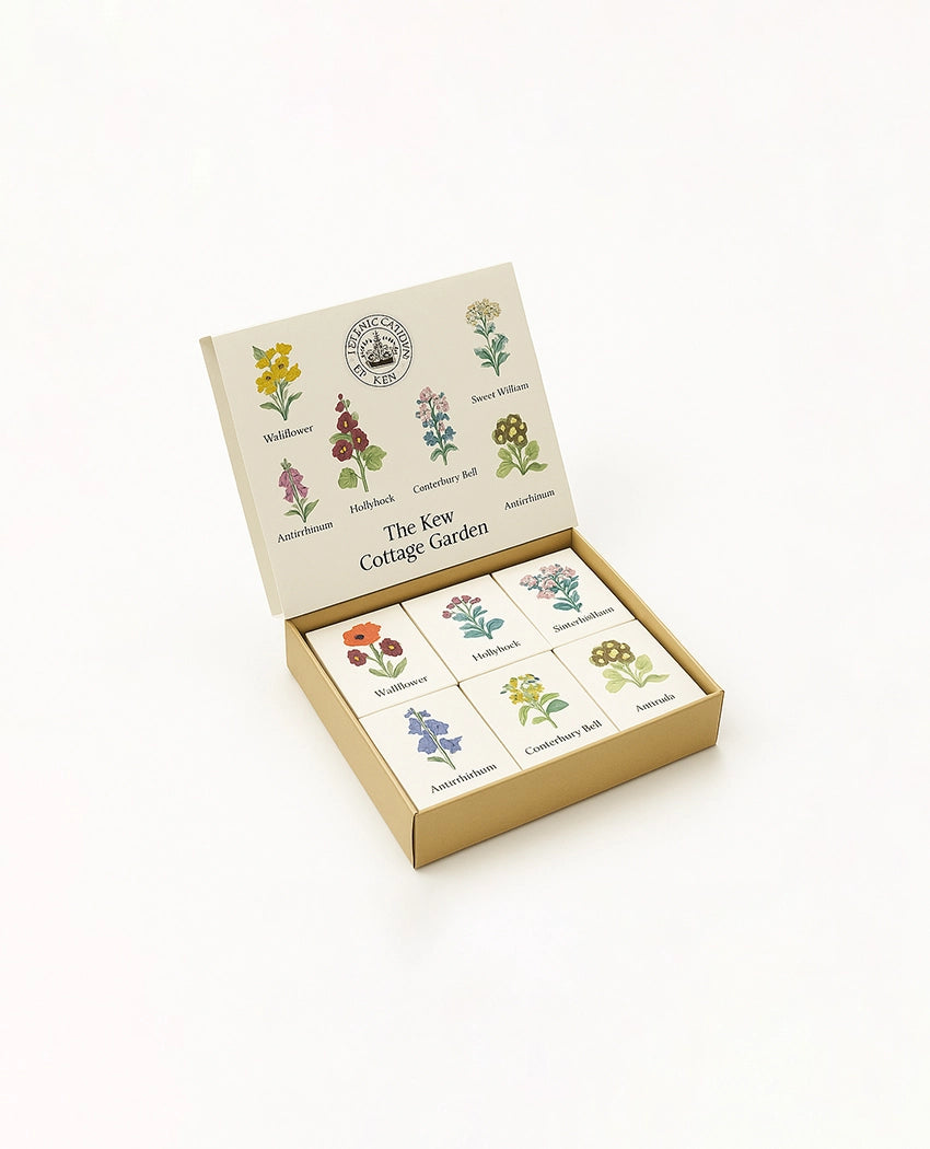Cottage Garden Flower Seeds