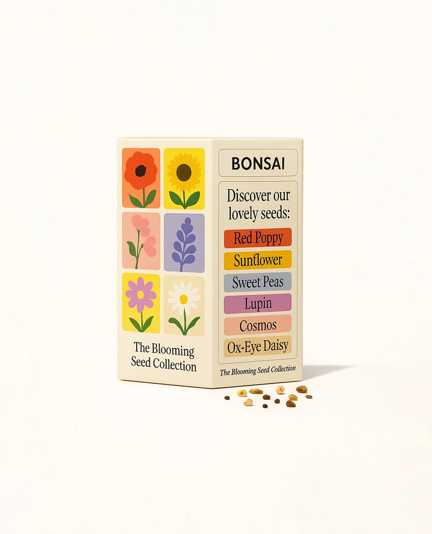 Bright Blooms Flower Seeds