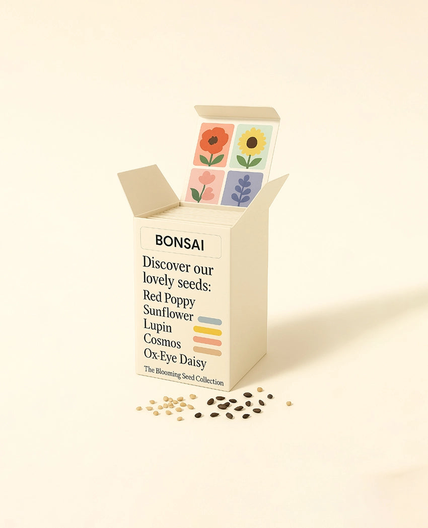 Bright Blooms Flower Seeds
